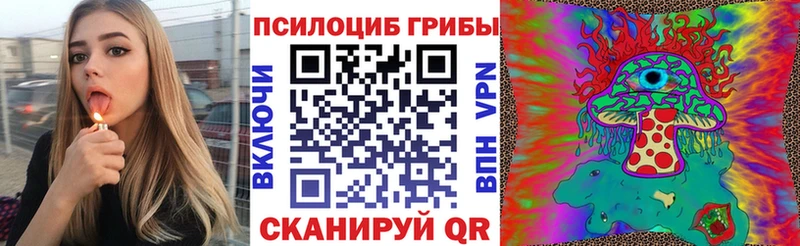 Купить где  Вельск  Псилоцибиновые грибы Psilocybine cubensis 